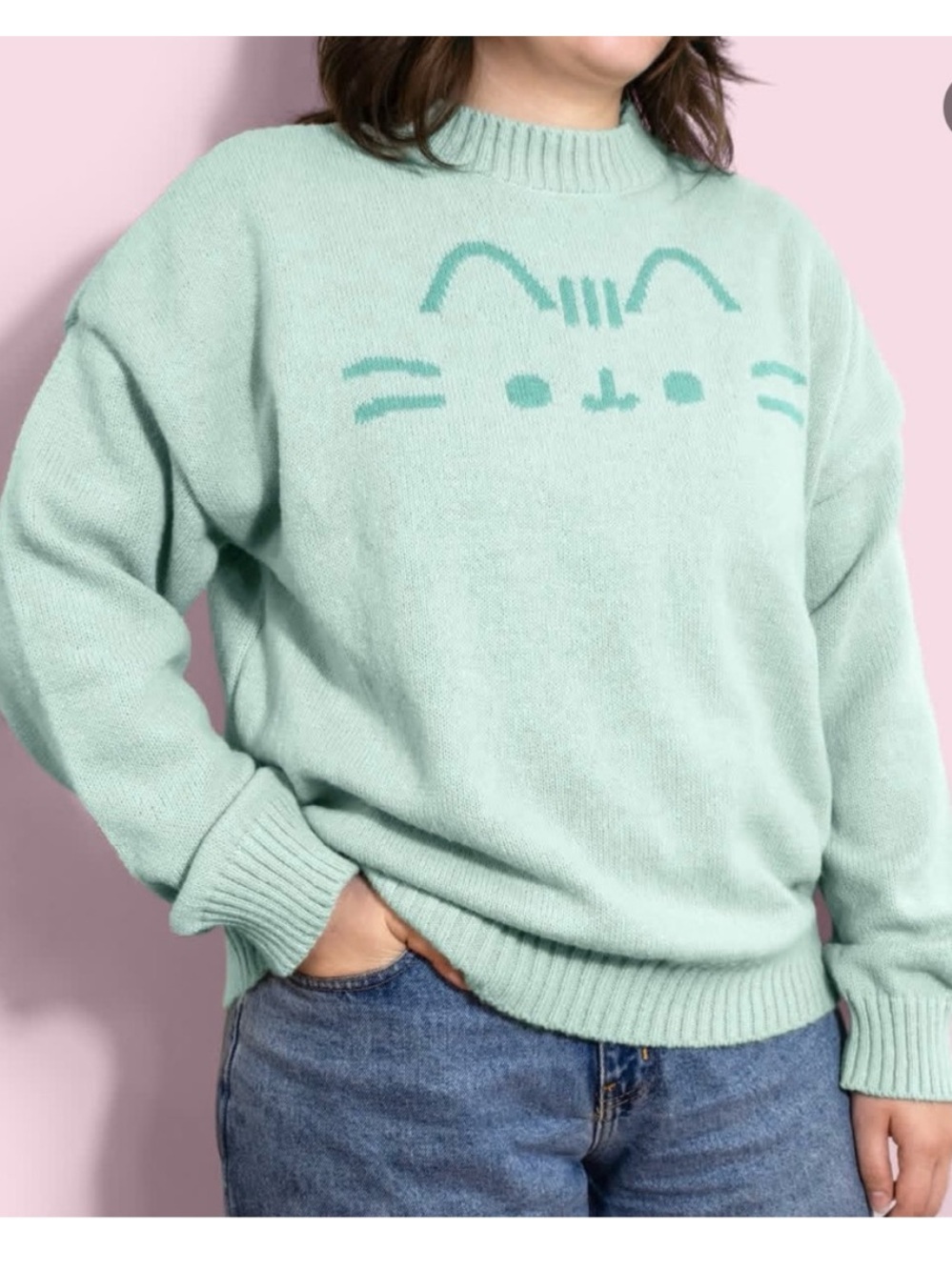 Pusheen Mint Green character Cat Sweater 2024 winter box -size Small
